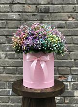 Цветочная композиция из Гипсофила и Розы в шляпной коробке #REPLACE_PRED# Могоче