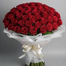 Букет 101 Красная роза Блэк Мэджик в Могоче