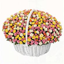 Премиум букет из: Розы в Могоче