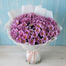 Букет цветов из:  Хризантемы в Могоче