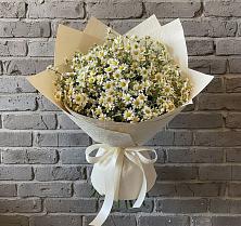 Букет цветов из:  Ромашки #REPLACE_PRED# Могоче