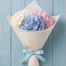 Букет цветов из:  Гортензия в Могоче