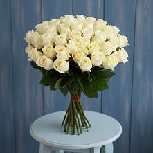 Букет 51 Белая роза Эдлесс Лав #REPLACE_PRED# Могоче