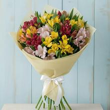 Букет цветов из:  Альстромерии #REPLACE_PRED# Могоче