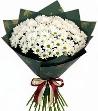 Букет цветов из:  Хризантемы #REPLACE_PRED# Могоче