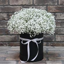 Цветочная композиция из Гипсофила в шляпной коробке в Могоче