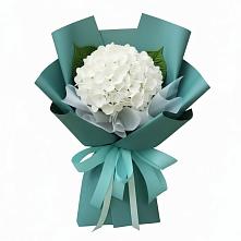 Букет цветов из:  Гортензия #REPLACE_PRED# Могоче
